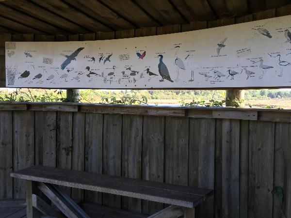 L'un des postes d'observation du Gros Banc.