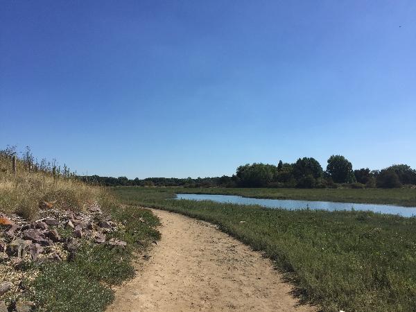 Nous longeons maintenant un bras mort de l'Orne qui entre dans le Gros Banc.