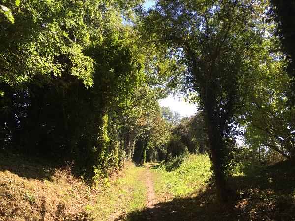 Le chemin de la Maison Blanche.