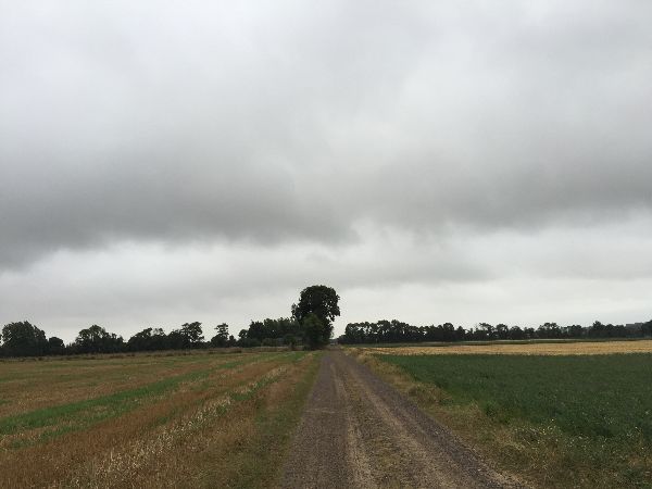 Nous sommes sur le territoire d'Arromanches, nous suivons le GRP de Caen à la Mer.