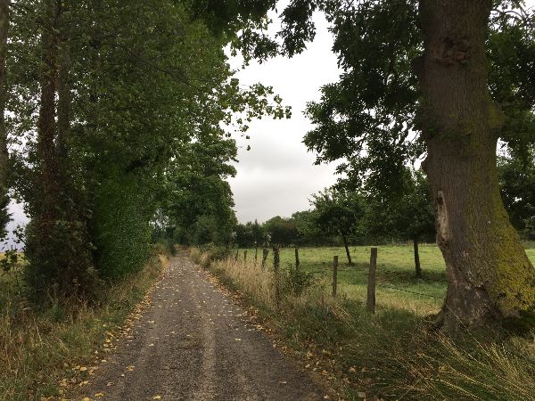 Nous tournons vers l'est, vers le village du Carrefour.