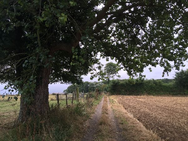 Le chemin est sympathique et fait de ce circuit une boucle très agréable.
