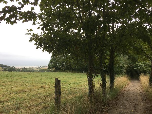 Chemin des Bréolles à Saint-Cômes-sur-Mer.