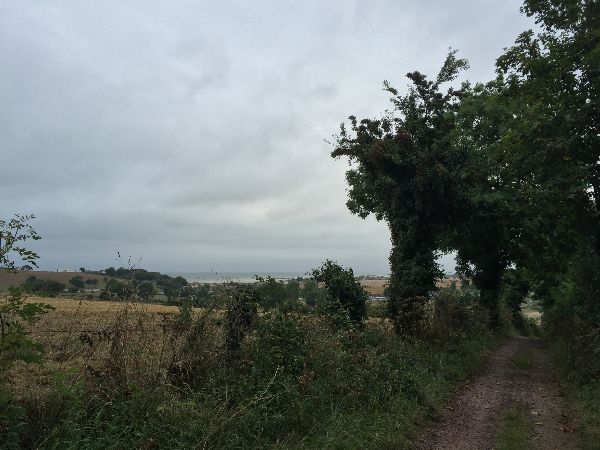 Chemin des Bréolles à Saint-Cômes-sur-Mer.