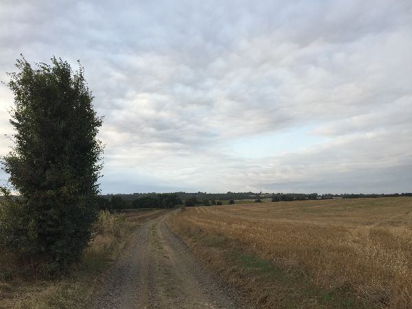 Nous allons suivre le chemin qui longe la Gronde pour revenir vers Asnelles.