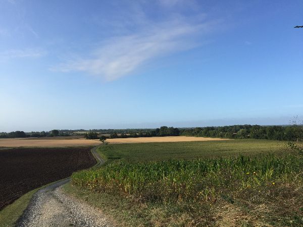 Nous partons de la route d'Arromanches, et rapidement tournons sur ce chemin de la Paix. Le but est de suivre une petite boucle avec la batterie de Longues-sur-Mer.