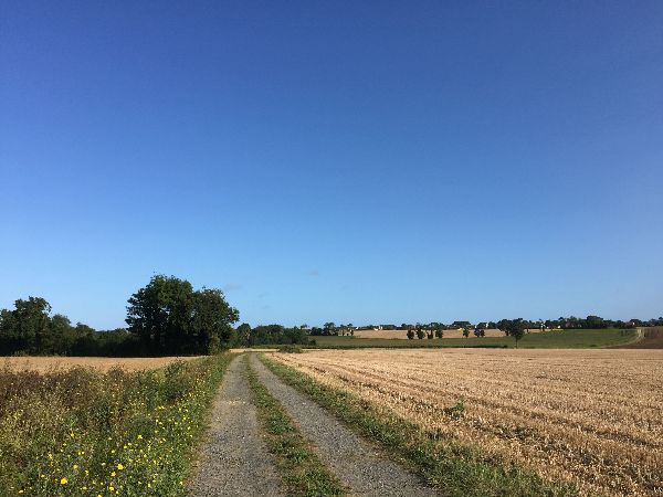 Nous sommes dans une large plaine agricole. Le bocage est encore bien présent dans cette région, mais pas ici !