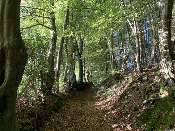 Nous suivons le charmant chemin du lieu-dit Bellemare en direction de la rue de Saint-Paul.