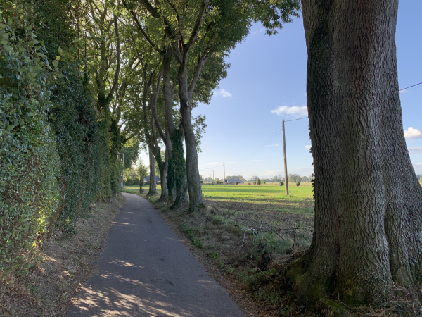 Nous suivons la rue Adam jusqu'au centre de Hauville.