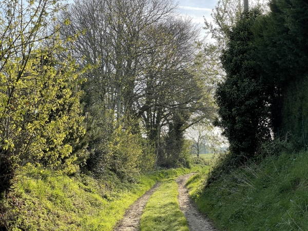 Nous partons du parking de l'église de St-Aubin-de-Crétot, suivons la rue de l'église, et tournons vers l'est sur ce premier chemin.