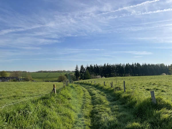 Nous descendons vers le vallon où se trouve le chemin de Brémare qui descend vers la forêt domaniale du Trait-Maulévrier.