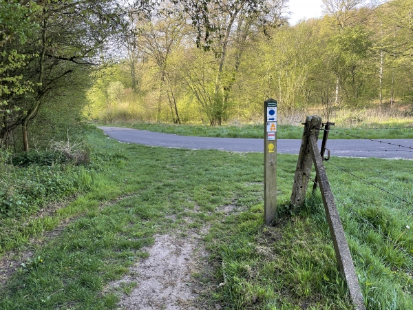 Nous avons rejoint le GR211, et le suivons à gauche sur la route forestière des Vaux. Nous sommes dans des paysages forestiers depuis un moment, mais c'est ici que nous entrons en forêt domaniale du Trait-Maulévrier.