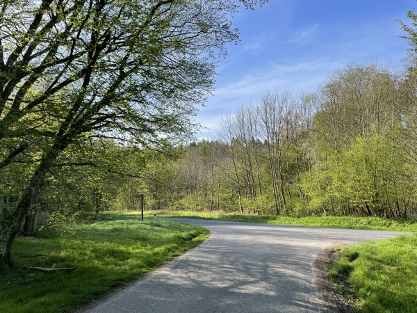 Nous arrivons au niveau de la D40. Nous allons la traverser pour suivre, en face, à quelques mètres, le chemin qui monte le Puits Bourdon.