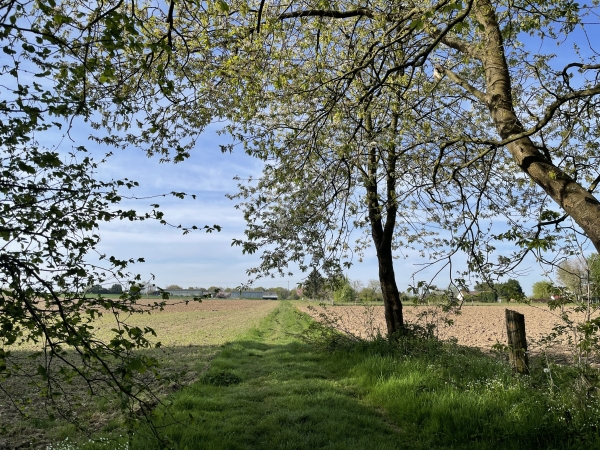 Nous sortons de la forêt, et allons suivre ce chemin entre les champs, vers le hameau de la Vente.