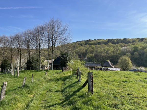 Après le bois, nous suivons le chemin du Pied Bourdon. Regard arrière vers le bois que nous venons de traverser.