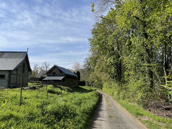 Le chemin du Pied Bourdon devient le chemin de la Masse en arrivant sur la colline. Nous allons le quitter devant la ferme, et tourner à droite dans le bois.