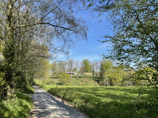 Nous arrivons au lieu-dit les Mares, et allons suivre le chemin qui descend dans le vallon que l'on devine au pied de la ferme.