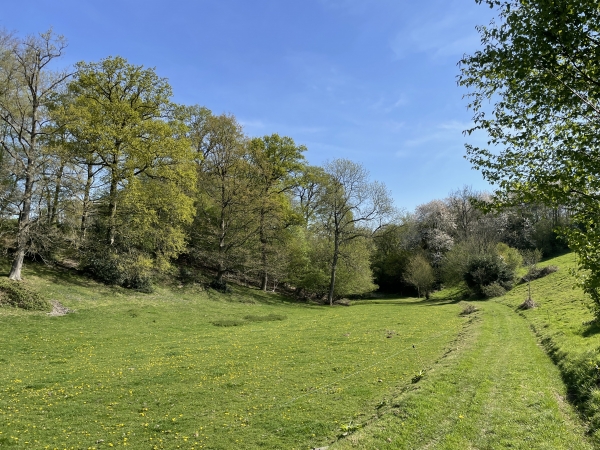 Descente dans le Fond des Mares.