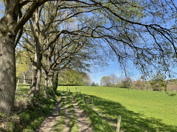 Depuis le départ de ce circuit, les chemins se succèdent plus beaux les uns que les autres. Il faut dire qu'en Avril, tous les chemins sont beaux !