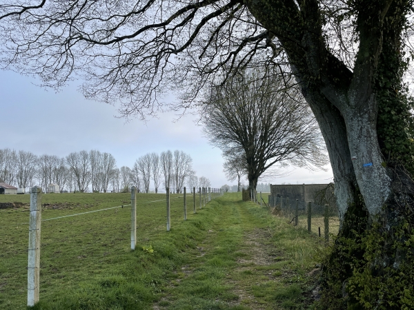 Peu après le départ, nous sommes déjà sur de charmants chemins, et ce sera le cas sur les 3/4 du circuit. Seule la dernière ligne droite se fait sur petites routes.