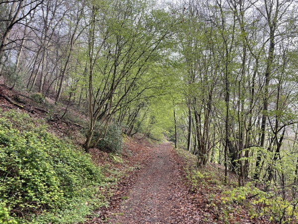 Nous traversons la D913, et retrouvons le GR23 qui descend du coteau vers la Seine.