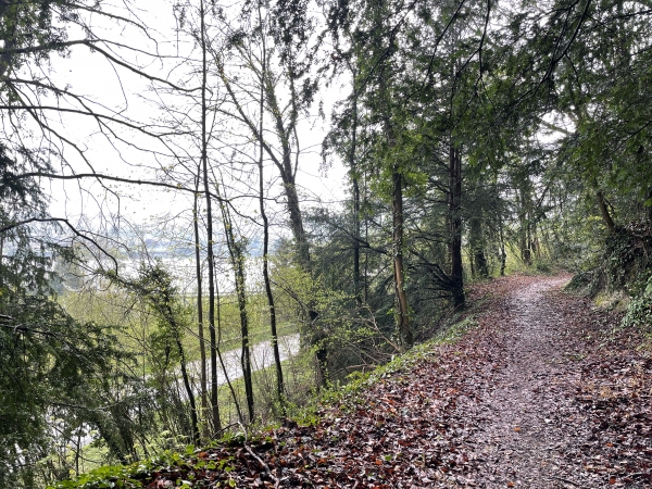 Nous arrivons près du bac de Jumièges, on devine déjà la Seine derrière les arbres.