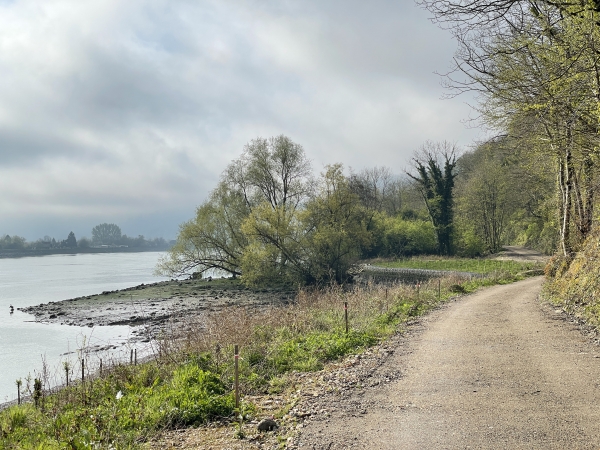 Le chemin de halage et la Seine à marée basse.