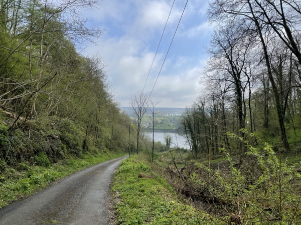 Regard arrière sur la Seine depuis la rue de la Foulerie. Comme on le voit, ça monte sec, mais la montée est facilitée par le revêtement.