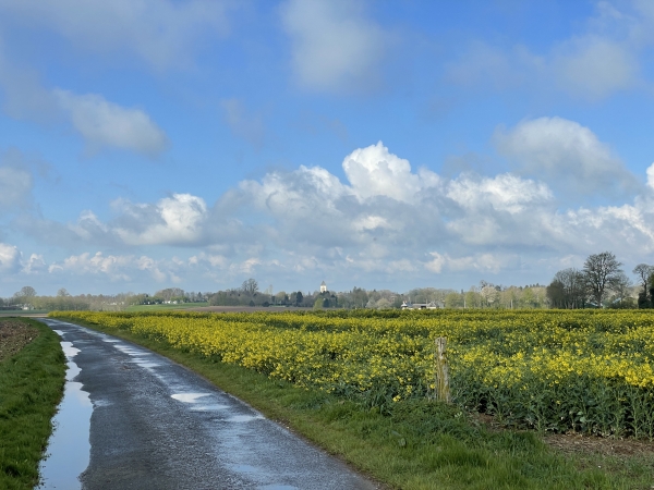 Rue de la Bouillote. On devine, en face, la flèche de l'église Saint-Paterne. Sur notre gauche, à 400m, se trouve le moulin de pierre de Hauville.