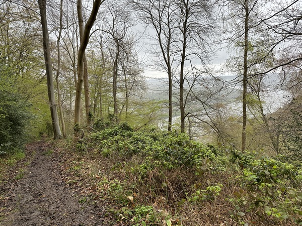 La pente est raide, mais la végétation du printemps permet encore de profiter de panoramas sur la vallée de la Seine, en reprenant son souffle.