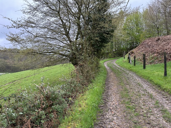 Nous avons quitté le GR23 à Barneville, et continuons vers Honguemare.