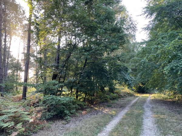 Nous longeons le Fief de la Vallée, toujours sur le GR23.