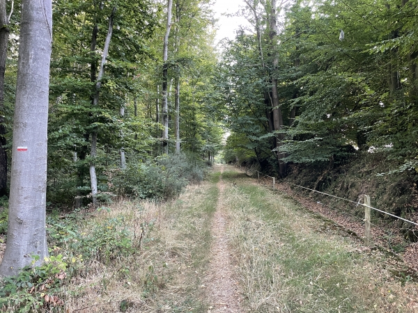 Nous longeons maintenant le Fief Blier.