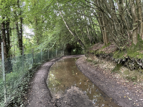 Nous longeons maintenant le domaine du château de Saint-Mards, lui aussi invisible depuis le chemin. Quelques passages sont inondés, mais toujours facilement évitables, comme ici.
