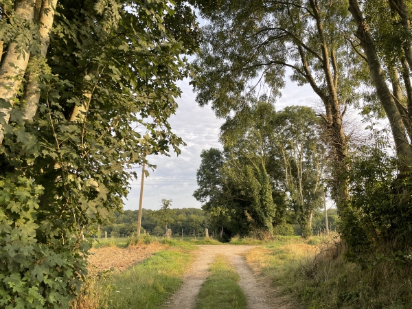 Nous traversons le chemin de la Plaine et continuons en face.