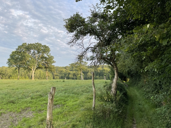 Nous arrivons dans les bois de la Longue Arure.