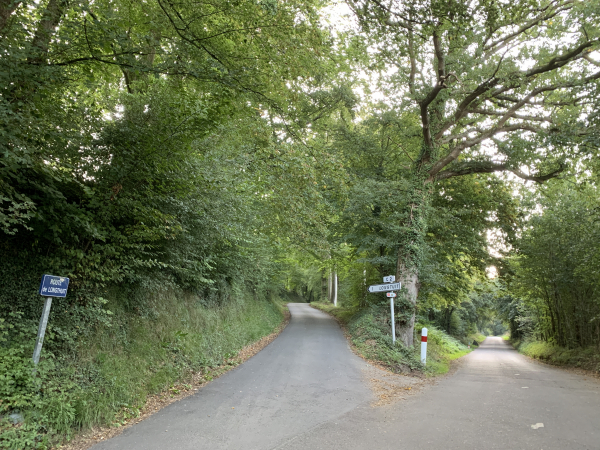 Nous quittons le bord de Scie et montons la petite route de Longtuit dans le bois de l'Ermitage pour trouver notre chemin à 250 mètres.