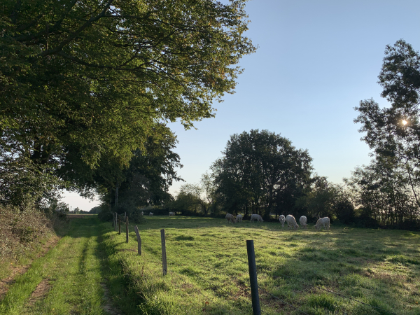 Nous suivons le délicieux chemin de La Corbière, passage incontournable de toute randonnée près d'Auffay.