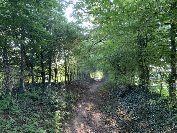Le chemin de La Corbière ne fait qu'un kilomètre, mais multiplie la variété des ambiances.