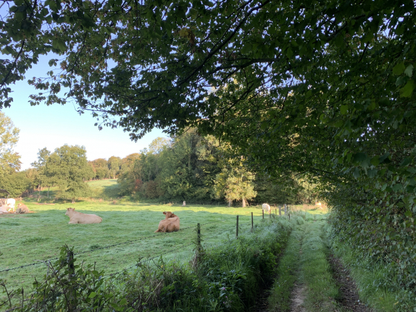 Nous sommes dans le Fond de Cropus, avec, là aussi, un très agréable chemin. L'ambiance est zen comme on le voit.