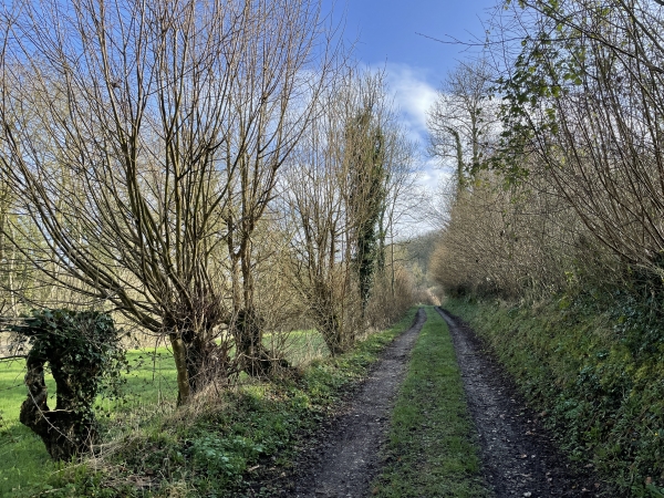 Nous montons maintenant le chemin du Fourchet d'Orival pour entrer en forêt domaniale d'Eawy.