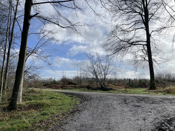 Nous arrivons au sommet. Nous allons prendre à gauche sur la route forestière du Châtelet.