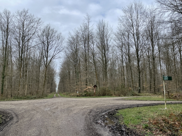 Carrefour suivant, nous prenons le deuxième chemin à droite.
