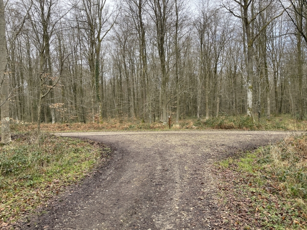 Nous arrivons à la route forestière de la Fresnaye. Nous allons la suivre jusqu'à la sortie de la forêt.