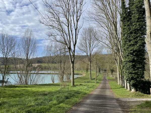 Nous traversons la route de la Vallée et marchons maintenant sur le chemin des Etangs.