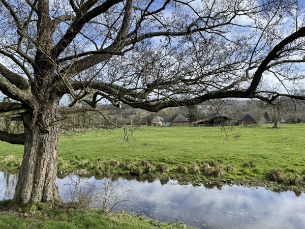 Petit coup d'oeil sur un bras de la Varenne et une ferme de la vallée.