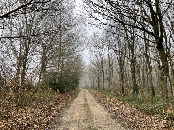 Nous traversons la D99, et continuons sur le chemin du Télégraphe, ainsi nommé en raison de la présence, au XIXe siècle, d'une tour de télégraphe. La transmission de message se faisait à l'aide de signaux de bras articulés, visibles depuis la tour suivante.