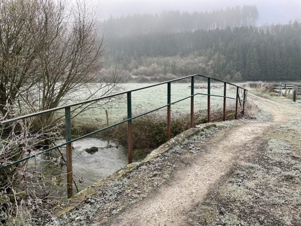 La rue de la Varenne devient chemin, et traverse la rivière pour rejoindre le chemin des Moregots en lisière de bois.