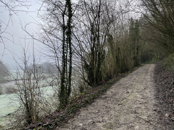 Nous suivons le chemin des Moregots, entre le bois et la rivière.