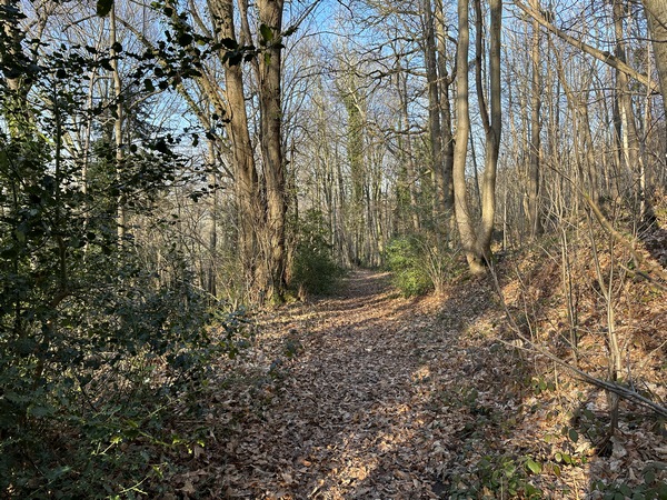 Le chemin du bois des Chesnots est un large chemin qui descend vers la vallée de la Vilaine.